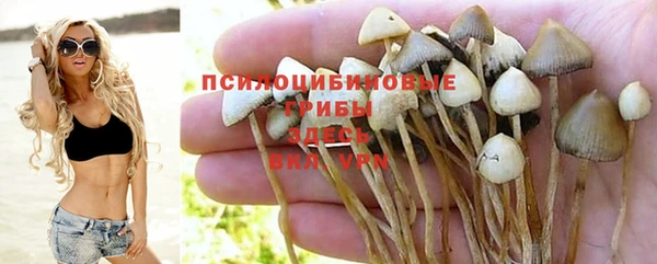 бошки Ростов